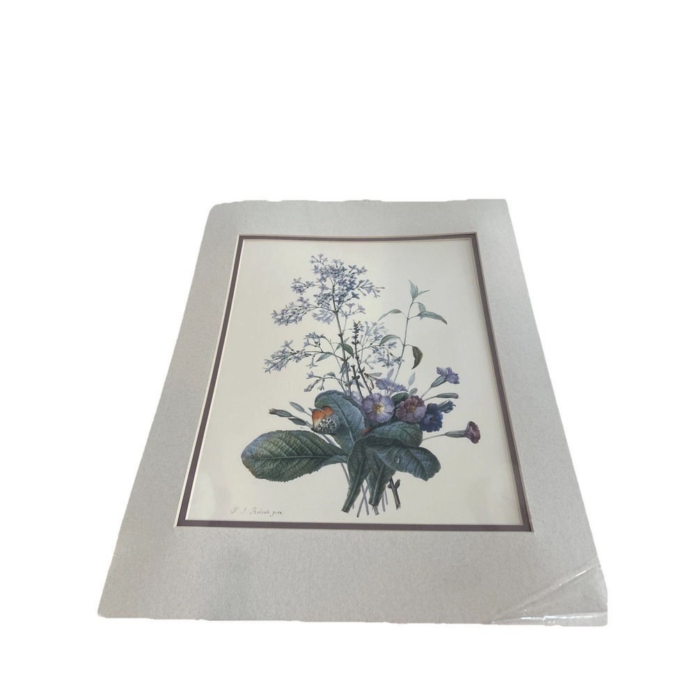PJ Rodoute Print 18x14 "A Bouquet Of Flowers Insects" Natl. Gallery Of Art Wash.